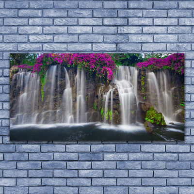 Plexiglas foto Waterval natuur