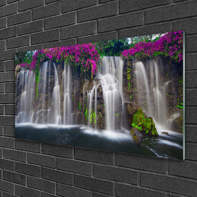 Plexiglas foto Waterval natuur