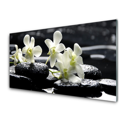 Plexiglas foto Stones orchideeinstallatie