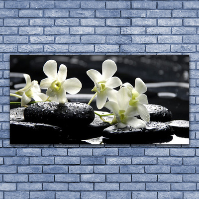 Plexiglas foto Stones orchideeinstallatie