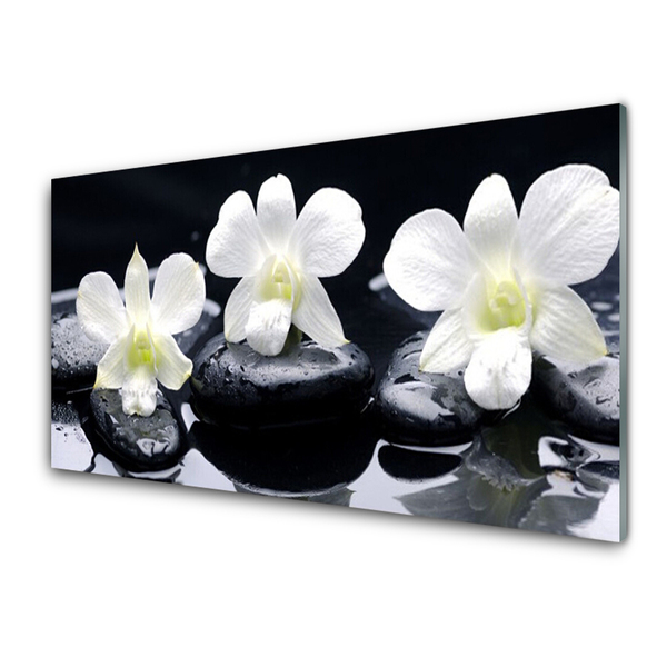 Plexiglas foto Orchid plant stones