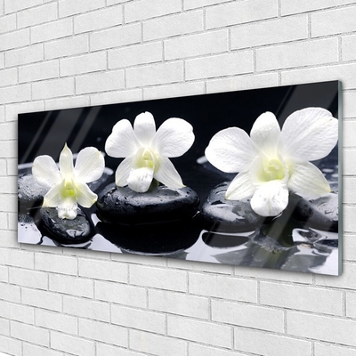 Plexiglas foto Orchid plant stones