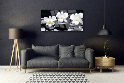 Plexiglas foto Orchid plant stones