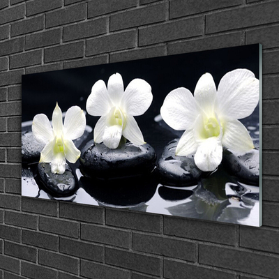 Plexiglas foto Orchid plant stones