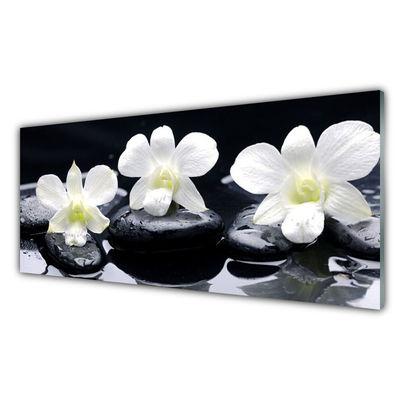 Plexiglas foto Orchid plant stones