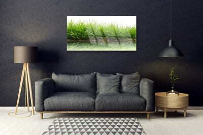 Plexiglas foto Grass nature water plant