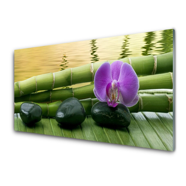 Plexiglas foto Flower stones bamboe natuur