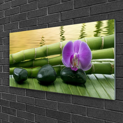 Plexiglas foto Flower stones bamboe natuur