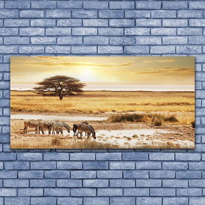Plexiglas foto Zebra safari landschap