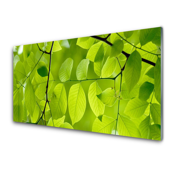 Plexiglas foto Bladeren natuur plant