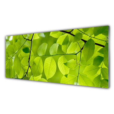 Plexiglas foto Bladeren natuur plant