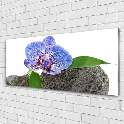 Plexiglas foto Natuur bloem plant