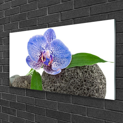 Plexiglas foto Natuur bloem plant