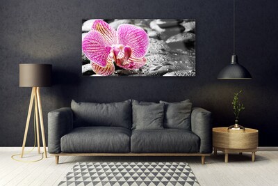 Plexiglas foto Orchidee bloem stones