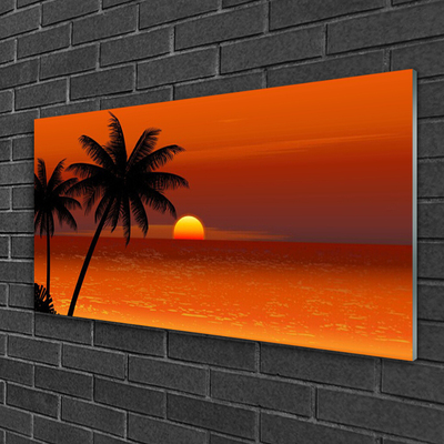 Plexiglas foto Palma sea sun landschap