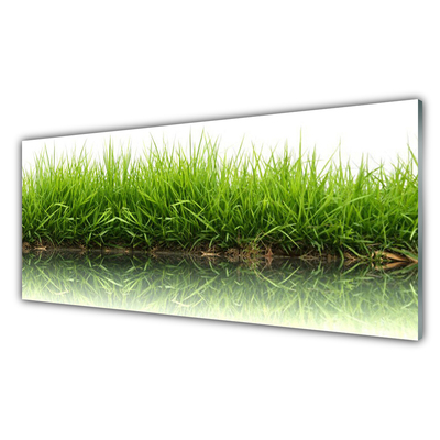 Plexiglas foto Grass nature plant