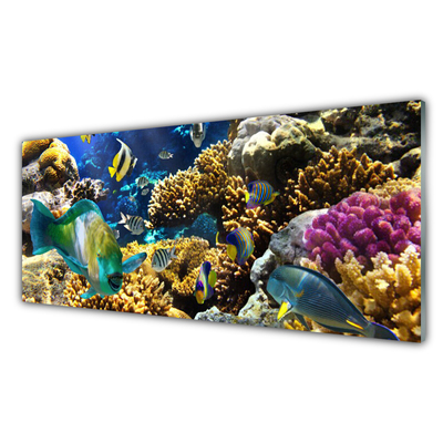 Plexiglas foto Barrier reef nature