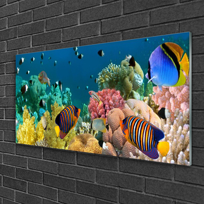 Plexiglas foto Barrier reef nature