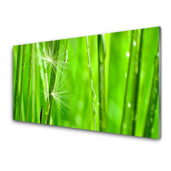 Schilderij op acrylglas Grass nature plant