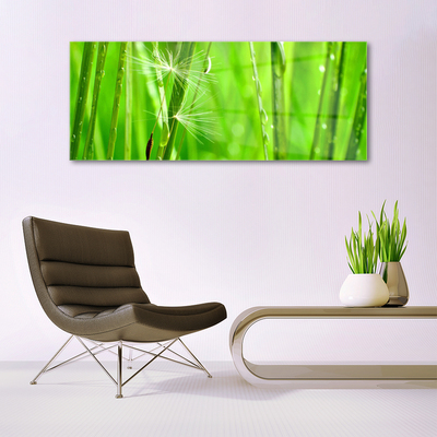 Schilderij op acrylglas Grass nature plant