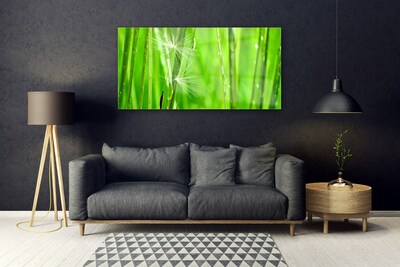 Schilderij op acrylglas Grass nature plant