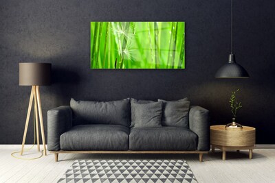 Schilderij op acrylglas Grass nature plant