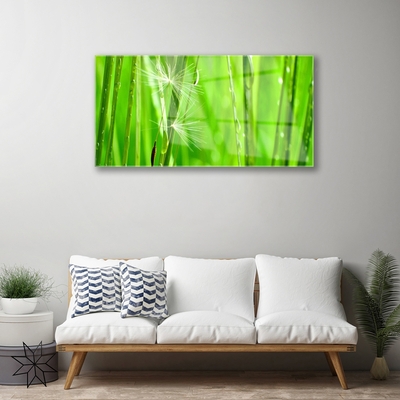 Schilderij op acrylglas Grass nature plant