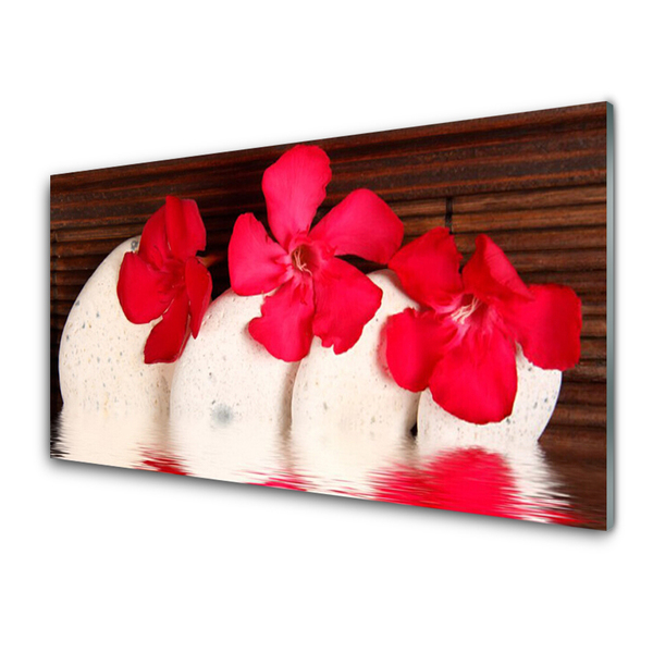 Schilderij op acrylglas Rode bloemen stones