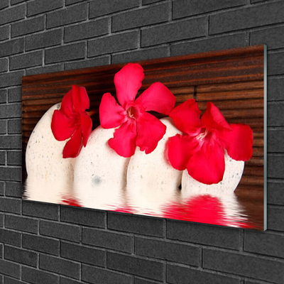 Schilderij op acrylglas Rode bloemen stones