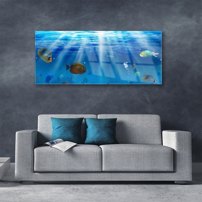 Schilderij op acrylglas Fish natuur
