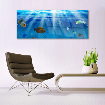 Schilderij op acrylglas Fish natuur