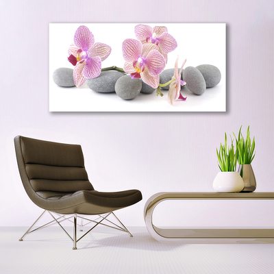 Schilderij op acrylglas Tree plant stones
