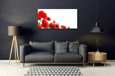 Schilderij op acrylglas Rode papavers nature