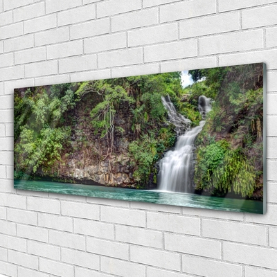 Schilderij op acrylglas Rock natuur van de waterval