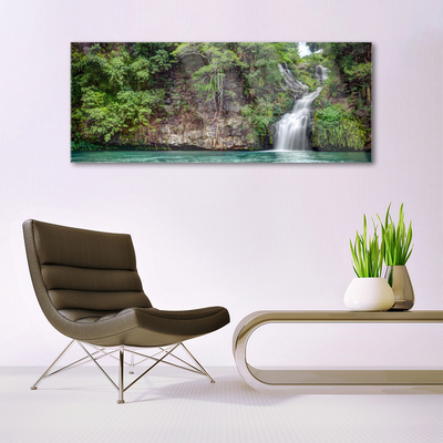 Schilderij op acrylglas Rock natuur van de waterval