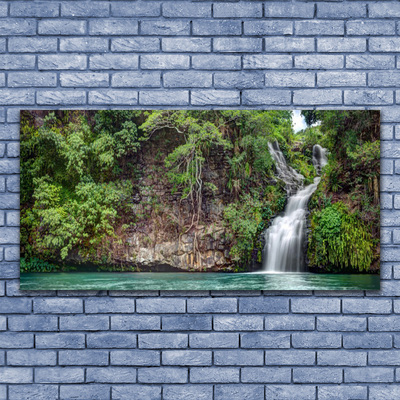 Schilderij op acrylglas Rock natuur van de waterval