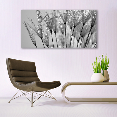 Schilderij op acrylglas Paardebloem plant