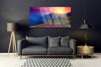 Schilderij op acrylglas Flower mountain meadow landscape