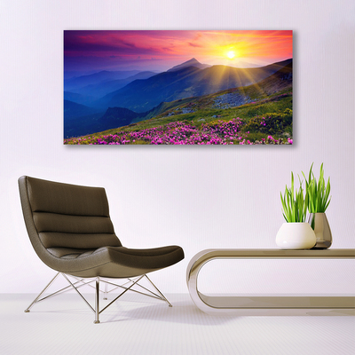 Schilderij op acrylglas Flower mountain meadow landscape