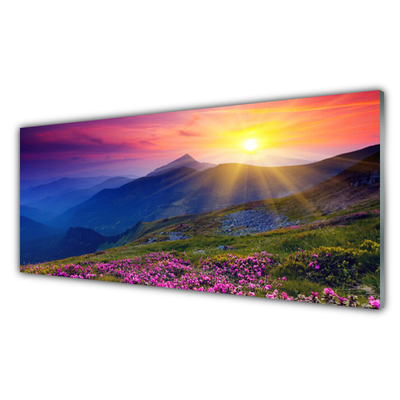 Schilderij op acrylglas Flower mountain meadow landscape