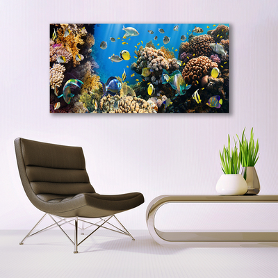 Schilderij op acrylglas Barrier reef nature