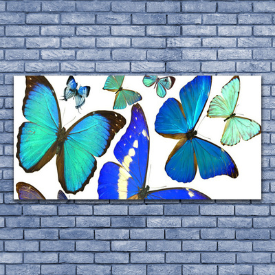 Schilderij op acrylglas Vlinders natuur