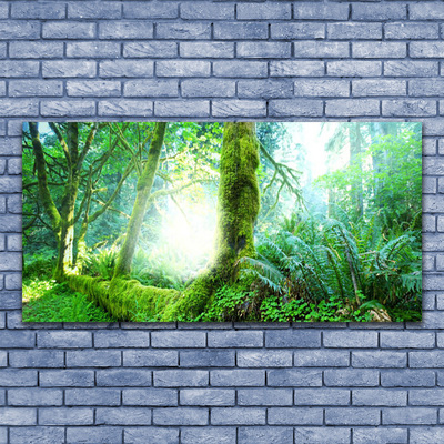 Schilderij op acrylglas Forest moss nature
