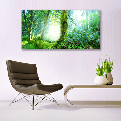 Schilderij op acrylglas Forest moss nature