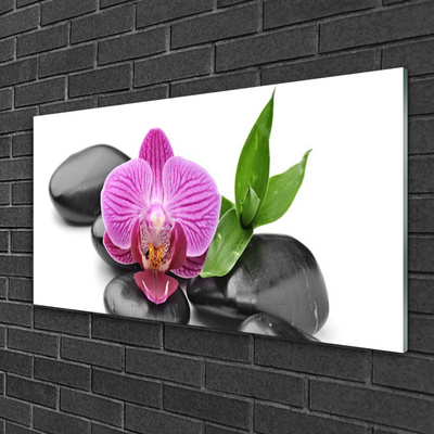 Schilderij op acrylglas Flower stones art