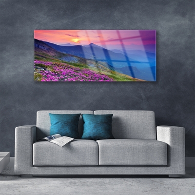 Schilderij op acrylglas Mountain meadow flowers landscape