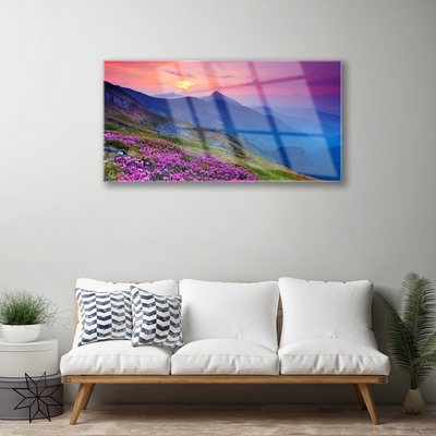 Schilderij op acrylglas Mountain meadow flowers landscape