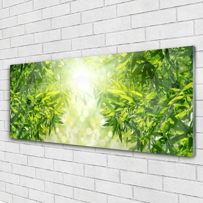 Schilderij op acrylglas Bladeren natuur plant