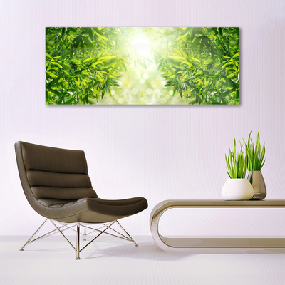 Schilderij op acrylglas Bladeren natuur plant