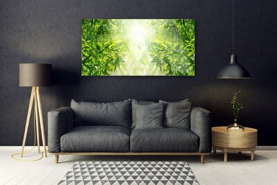 Schilderij op acrylglas Bladeren natuur plant